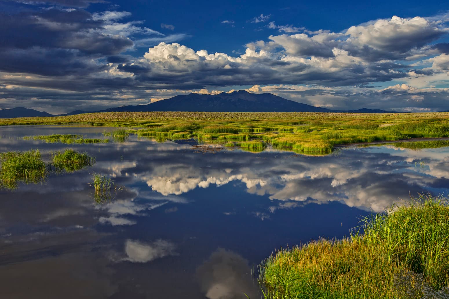 Alamosa National Wildlife Refuge