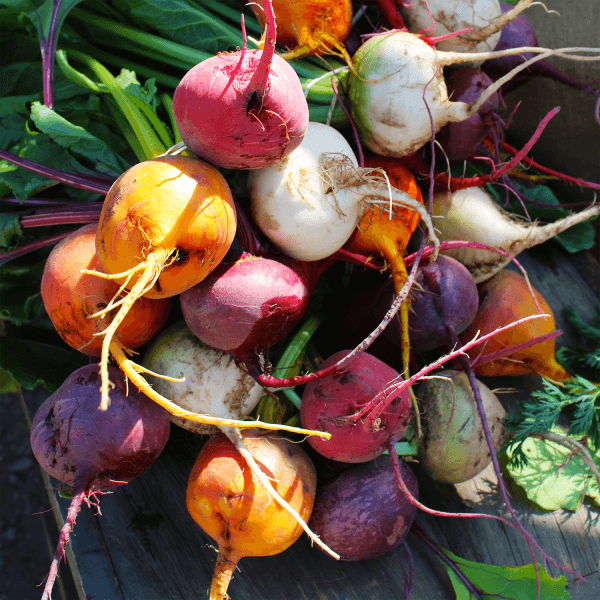 Alamosa Farmers Market