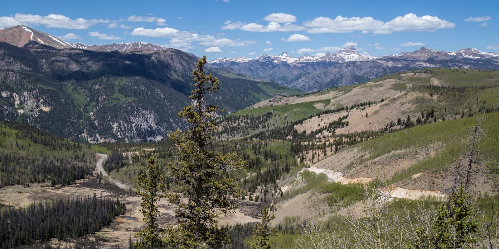 Rio Grande National Forest