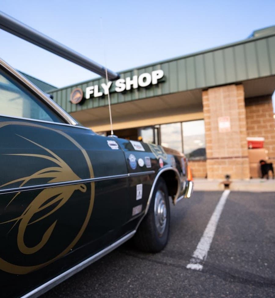 Golden Fly Shop