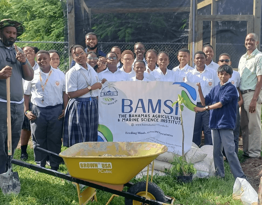 Bahamas Agriculture & Marine Science Institute