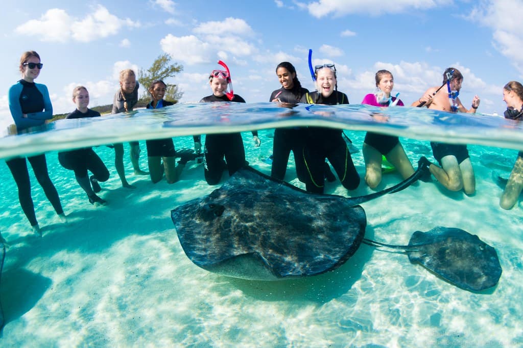 Bimini Biological Field Station