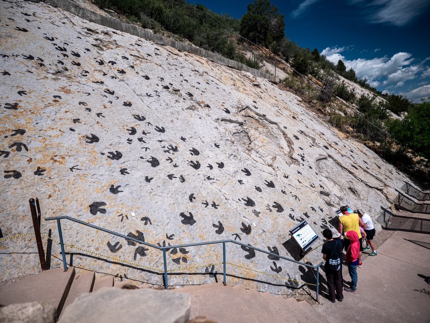 Dinosaur Ridge