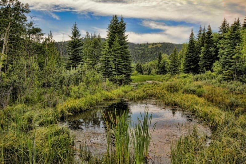 Beauvais Lake Provincial Park