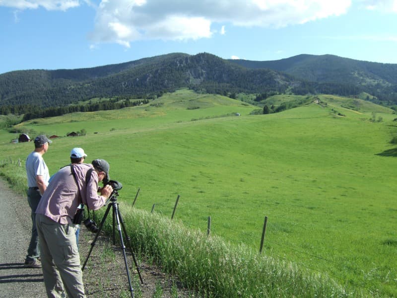 Central Montana Birding Trails