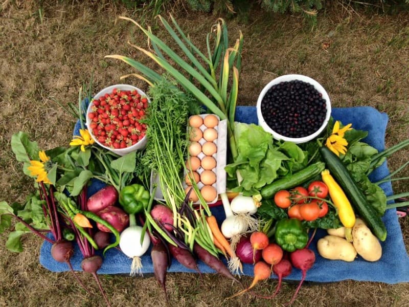Pincher Creek Farmers' Market