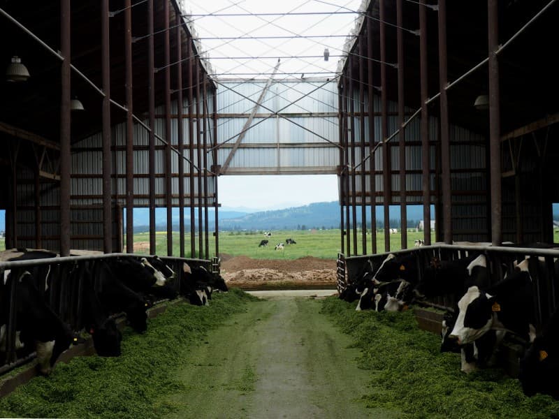 Kalispell Kreamery Farm Tour