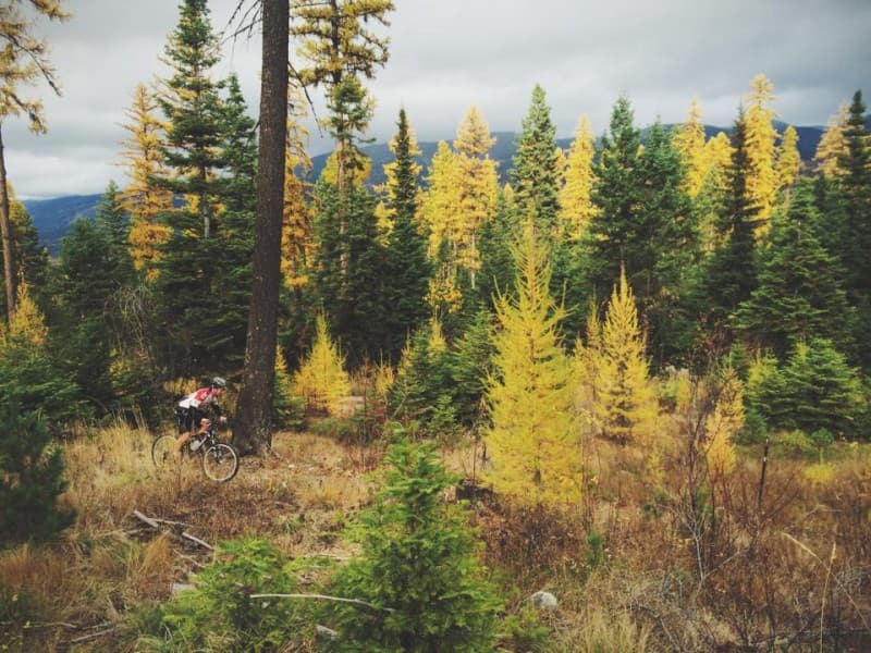 The Whitefish Trail- Lupfer Trailhead