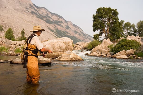 Crowsnest River Flyfishing