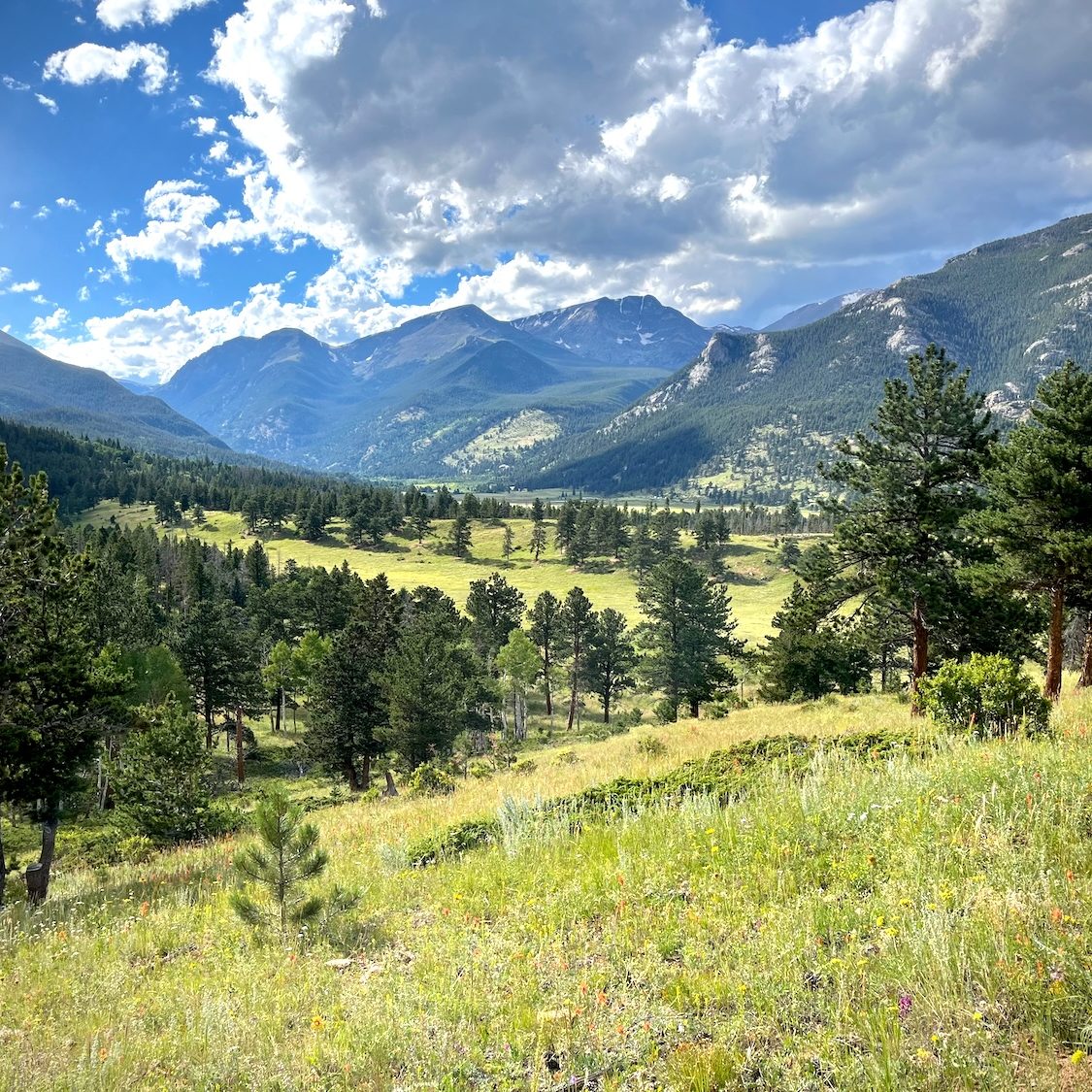 Rocky Mountain National Park, Colorado landscape by Frank Biasi
